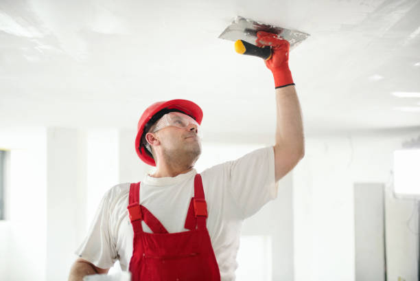 Best Mold Documentation for Insurance Claims  in Gladeville, TN