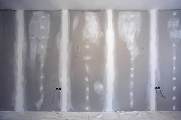 Best Mold Damage Restoration  in Gladeville, TN